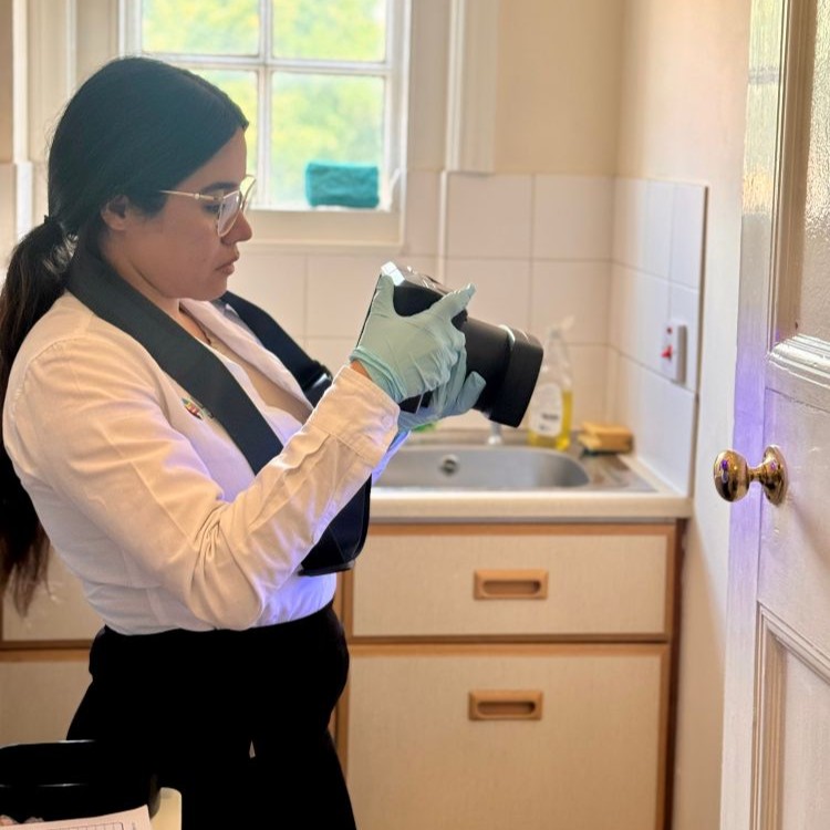 BlindSite Latent Figertmark Evidence 2025