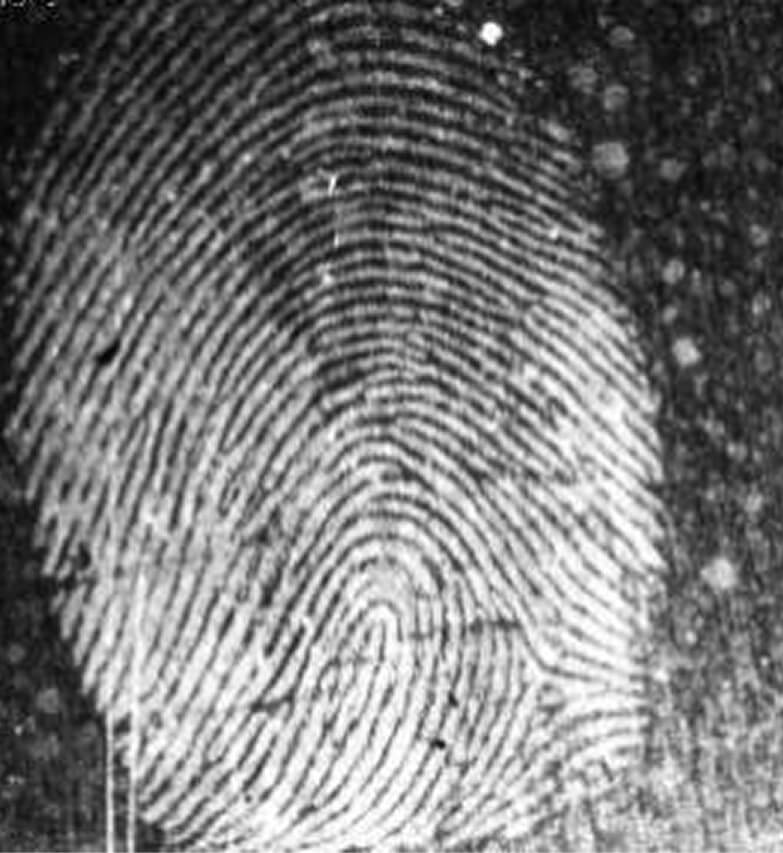 Fingermarks from a vehicle bomb 2