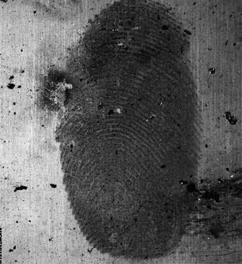 Fingermarks from a vehicle bomb 3