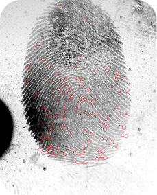 Forensic_Output_Minutiae_2