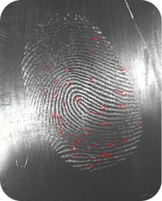 Forensic_Output_Minutiae_3