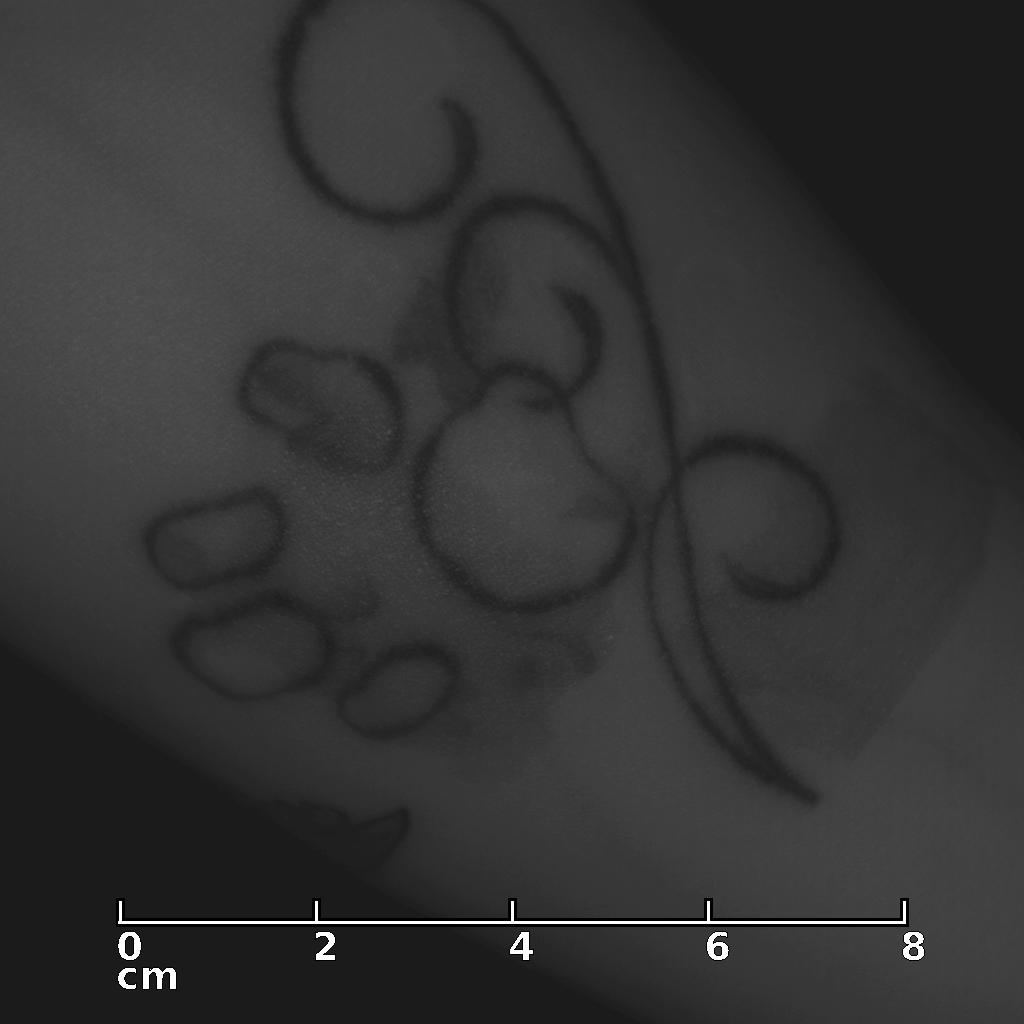Tatoos_image_2